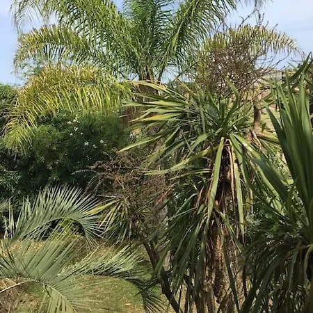 Apartmán Mare E Monte , Jardin Mediterraneen Et Exotique. Ghisonaccia