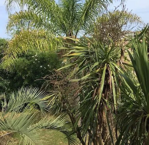 Apartment Mare E Monte , Jardin Mediterraneen Et Exotique. Ghisonaccia